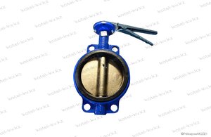 Затвор ДУ 65